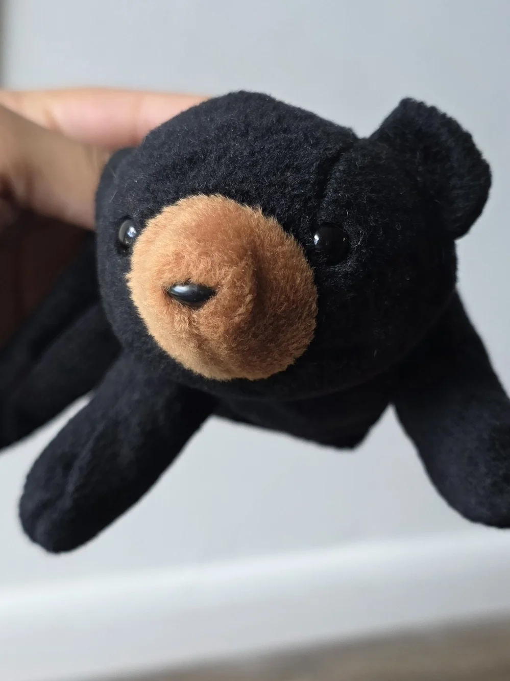 Ty Black Plush Bear with Orange Snout